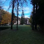 Meadows