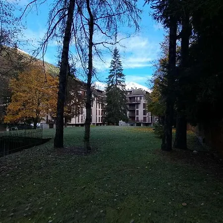 Meadows